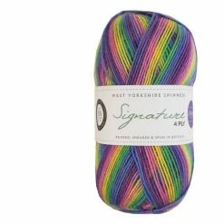 Buy ⌛ West Yorkshire Spinners Wildflower Signature 4 Ply 100g ✨