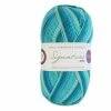 Best reviews of 🔔 West Yorkshire Spinners Seascape Signature 4 Ply 100g 😀