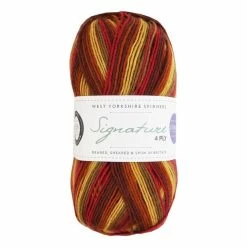 Budget 💯 West Yorkshire Spinners Autumn Leaves Signature 4 Ply 100g 🧨