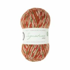 Best Pirce ⌛ West Yorkshire Spinners Gingerbread Signature 4 Ply Yarn 100g 🤩