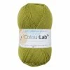 Best Sale ???? West Yorkshire Spinners Pear Green ColourLab DK Yarn 100g ✔️ -Hayfield Shop 647241 1004 1 west yorkshire spinners pear green colourlab dk yarn 100g