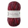 Deals 🔥 West Yorkshire Spinners WYS Botanical Bloom Zandra Rhodes Signature 4 Ply 100g ❤️ -Hayfield Shop 656952 1002 1 wys botanical bloom zandra rhodes signature 4 ply 100g